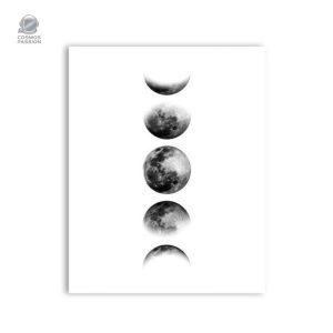 Affiche illustrant les différentes phases de la lune