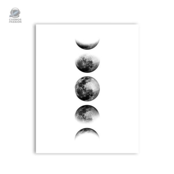 Affiche illustrant les différentes phases de la lune